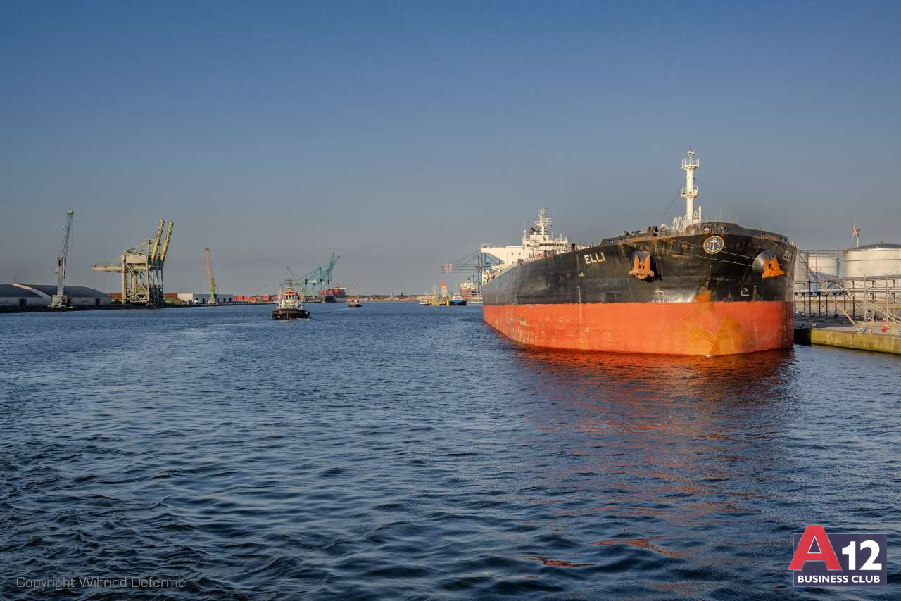 Fotoalbum - Havenrondvaart met Flandria ‘Oep z’n Aantwaarreps’ - A12 Business Club - Evenement